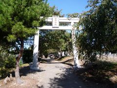 皆神神社の鳥居。