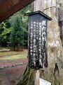 元伊勢皇大神社の御神木。2014年4月撮影。